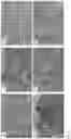 Fig. 06 - Production of graphene structures