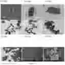 Fig. 07 - HIGHLY EFFICIENT AEROBIC PHOSPHORUS-REMOVING BACTERIA CAPABLE OF SYNTHESIZING NANOPARTICLES BY MICROBIAL SELF-ASSEMBLY USING WASTE WATER