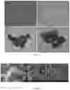 Fig. 08 - HIGHLY EFFICIENT AEROBIC PHOSPHORUS-REMOVING BACTERIA CAPABLE OF SYNTHESIZING NANOPARTICLES BY MICROBIAL SELF-ASSEMBLY USING WASTE WATER