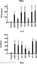 Fig. 01 - Anti-inflammatory use of peptide