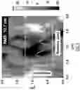 Fig. 09 - Electrically conducting polymers