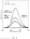 Fig. 06 - Fluorescent member, its manufacturing method, and light-emitting apparatus