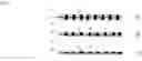 Fig. 02 - Device for high throughput isolation and cultivation of microbial species