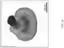 Fig. 02 - STEM CELL-DERIVED CELL CULTURES, STEM CELL-DERIVED THREE DIMENSIONAL TISSUE PRODUCTS, AND METHODS OF MAKING AND USING THE SAME