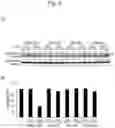 Fig. 05 - INHIBITOR OF TDP-43 AGGREGATION