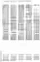 Fig. 11 - Nucleotide sequences and corresponding polypeptides conferring modulated growth rate and biomass in plants grown in saline and oxidative conditions