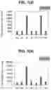 Fig. 02 - Microorganism and method for producing triacylglycerol