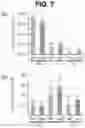 Fig. 07 - Microorganism and method for producing triacylglycerol