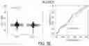 Fig. 12 - Method for detecting an increased risk or incidence of colorectal cancer