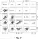 Fig. 13 - Method for detecting an increased risk or incidence of colorectal cancer