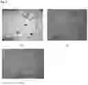 Fig. 09 - Iron-based alloy powder and molded article using same