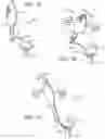 Fig. 02 - Electric lighting devices
