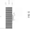 Fig. 06 - Cooling device with superimposed fin groups