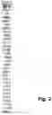 Fig. 03 - COMBINATORIAL ANTIBODY DIAGNOSTIC