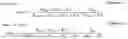 Fig. 02 - Apparatus for measuring insulation resistance