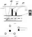 Fig. 02 - High-accuracy satellite positioning method, positioning terminal, and positioning system