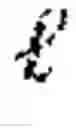Fig. 02 - Change of variance detection in time series data