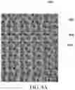 Fig. 05 - SOLID POLYMER MATRIX ELECTROLYTE (PME) FOR RECHARGEABLE LITHIUM BATTERIES AND BATTERIES MADE THEREWITH