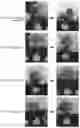 Fig. 02 - FUNCTIONAL WATER