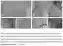 Fig. 03 - COMPOSITIONS AND METHODS FOR TARGETED CONTRAST AGENTS FOR MOLECULAR IMAGING