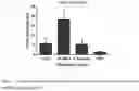 Fig. 06 - COMPOSITIONS AND METHODS FOR TARGETED CONTRAST AGENTS FOR MOLECULAR IMAGING