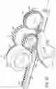 Fig. 85 - Surgical stapling instrument with an articulatable end effector