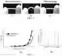 Fig. 03 - COMPOSITE NEURAL CONDUIT