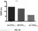 Fig. 08 - NANOCAPSULES FOR THE DELIVERY OF CELL MODULATING AGENTS