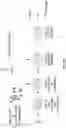 Fig. 18 - NANOCAPSULES FOR THE DELIVERY OF CELL MODULATING AGENTS