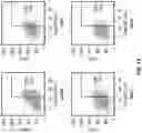 Fig. 29 - NANOCAPSULES FOR THE DELIVERY OF CELL MODULATING AGENTS