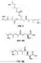 Fig. 06 - Method of treating fatty acid oxidation disorders using Omega3/Omega6 unsaturated or branched chain fatty acids