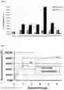 Fig. 07 - ENHANCED BRAIN BIOAVAILABILITY OF GALANTAMINE BY SELECTED FORMULATIONS AND TRANSMUCOSAL ADMINISTRATION OF LIPOPHILIC PRODRUGS