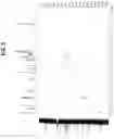 Fig. 06 - COGNITIVE FUNCTION IMPROVING COMPOSITION COMPRISING NOVEL POST FERMENTED TEA-DERIVED KAEMPFEROL-BASED COMPOUND