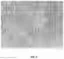 Fig. 03 - METHOD OF PREVENTING OR TREATING VIRAL INFECTIONS