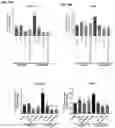 Fig. 22 - PEPTIDES AND COMPOSITIONS FOR TARGETED TREATMENT AND IMAGING