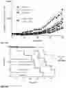 Fig. 43 - PEPTIDES AND COMPOSITIONS FOR TARGETED TREATMENT AND IMAGING