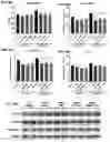 Fig. 49 - PEPTIDES AND COMPOSITIONS FOR TARGETED TREATMENT AND IMAGING