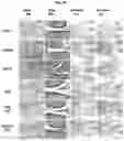 Fig. 83 - PEPTIDES AND COMPOSITIONS FOR TARGETED TREATMENT AND IMAGING