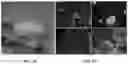 Fig. 03 - Methods for development and use of minimally polarized function cell micro-aggregate units in tissue applications using LGR4, LGR5 and LGR6 expressing epithelial stem cells