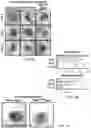 Fig. 05 - Methods for development and use of minimally polarized function cell micro-aggregate units in tissue applications using LGR4, LGR5 and LGR6 expressing epithelial stem cells