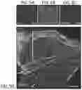 Fig. 07 - Methods for development and use of minimally polarized function cell micro-aggregate units in tissue applications using LGR4, LGR5 and LGR6 expressing epithelial stem cells