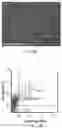 Fig. 19 - Methods for development and use of minimally polarized function cell micro-aggregate units in tissue applications using LGR4, LGR5 and LGR6 expressing epithelial stem cells