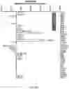 Fig. 29 - Methods for development and use of minimally polarized function cell micro-aggregate units in tissue applications using LGR4, LGR5 and LGR6 expressing epithelial stem cells
