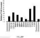Fig. 37 - Methods for development and use of minimally polarized function cell micro-aggregate units in tissue applications using LGR4, LGR5 and LGR6 expressing epithelial stem cells