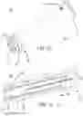 Fig. 07 - Apparatuses and methods for injecting medicaments