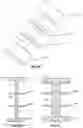 Fig. 07 - Disinfection cap