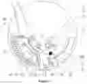 Fig. 04 - WHOLE-PROCESS BIOLOGICAL DETECTION DEVICE