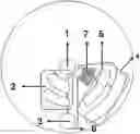 Fig. 01 - Valve system for driving fluid and method for using the same