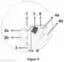 Fig. 08 - Valve system for driving fluid and method for using the same