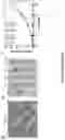Fig. 06 - Devices, systems, and methods for single cell bacteria analysis